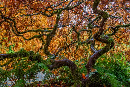 �1759669 �������(a): ����������:1920x1280